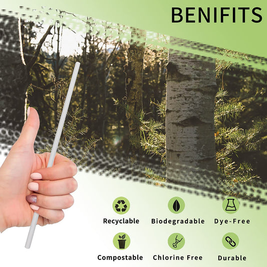 Paper Straw Plain 6 Mm Diameter 200 Mm Length 50 Pcs Pack