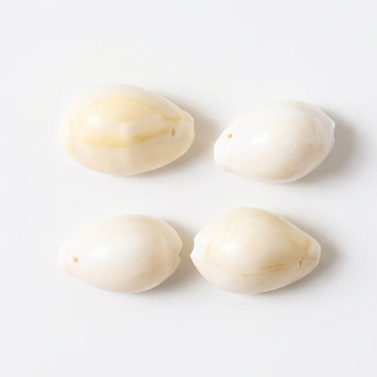 Natural Kaudi Cowrie Shells (4 Pc Mix Size)