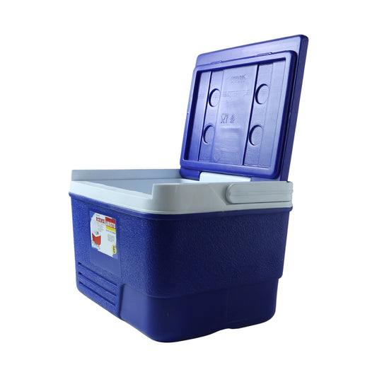 Portable Insulated Ice Cooler Box With Carry Handle (1 Pc Blue 6ltr)