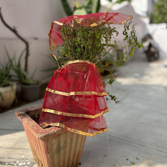Premium Tulsi Vastra Pooja Cloth 2-piece Set