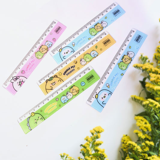 Premium Cute Cartoon Plastic Ruler Set For Kids (5 Pc)