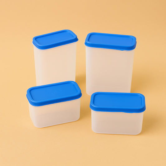 Apex Glory Plastic Storage Container Box Set (4 Pc)