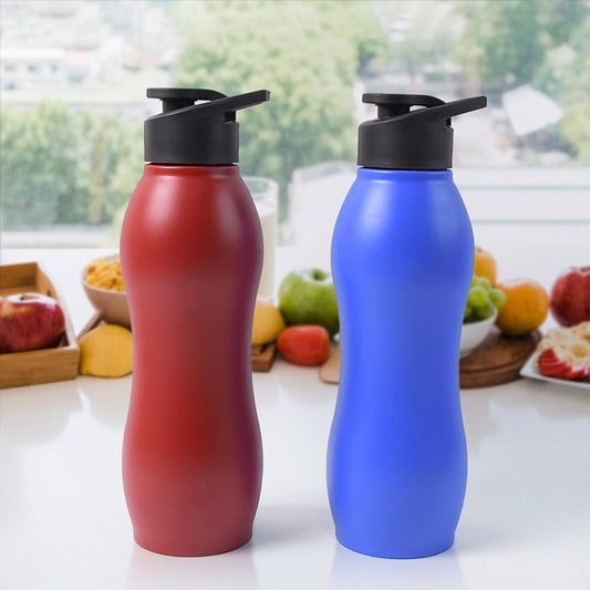 Stainless Steel Water Bottle (1000ml Mix Colour 1 Pc Matte)
