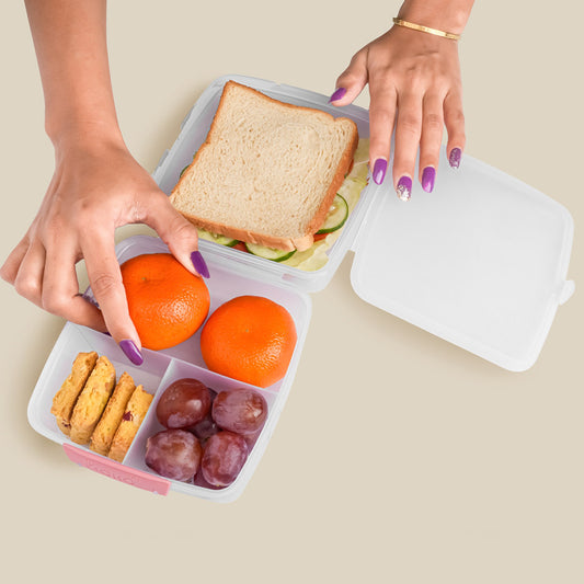 1 Large And 3 Small -compartment 1400 Ml Multipurpose Lunch Box (1400 Ml 1 Pc)