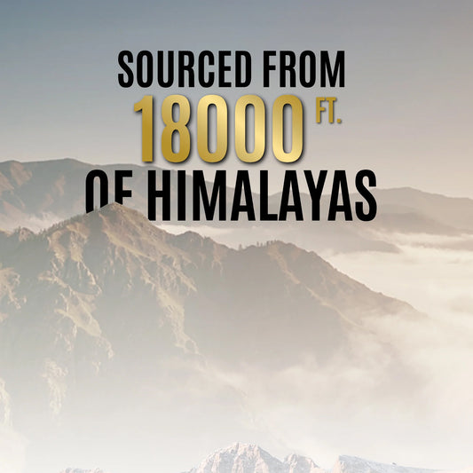 Og Wellness Pure Himalayan Shilajit Resin (20 Gm 1 Pc)