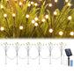 Pathway Lights
