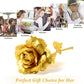Heart Love Decorative Showpiece with Golden Rose Flower Gift Set (2 Pc)
