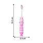 Kids Toothbrush with Cartoon Car (2 Pc Set)