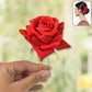 Decorative Hair Brush