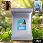 Natural Brahmi Powder