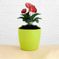 Plastic round flower pots for indoor/outdoor use