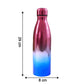 Portable Stainless Steel Water Bottle