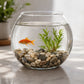 Decorative Natural Pebbles Stones For Aquarium Vase Garden And Home Decor (1 Set)