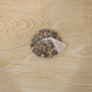 Decorative Natural Pebbles Stones For Aquarium Vase Garden And Home Decor (1 Set)