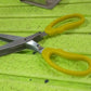 Multifunction Vegetable Stainless Steel Herbs Scissor With 5 Blades (1 Pc)
