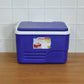 travel cooler box container