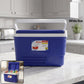 Portable Insulated Ice Cooler Box with Carry Handle (1 Pc, Blue / 6Ltr)