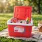 compact insulated beverage cooler box 3ltr