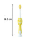 colorful cartoon kids toothbrush
