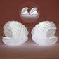 Pearl Shell Night Lamp
