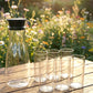 Prexo Plastic Water Jug And Drinking Glass Set (1 Jug 1000ml 6 Glasses 300ml)