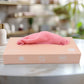 Microfiber Cleaning Cloth With Box Magic Wipe (10 Pcs Set)
