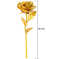 B Golden Rose Is Perfect For Decorating Homes Offices Cafes (3 Pc Set)
