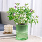 Watering Planter 