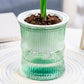 Self-Watering Bamboo Style Plastic Flower Pot with Cotton Wick (1 Pc)