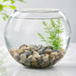 Natural River Pebbles Stones For Aquarium Vase Planter And Garden Decor (1 Set)