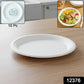 Vegnar Disposable Round Food Serving Plate (10 Pc)