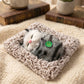 Decor Cat Open Eye Showpiece (1 Pc)