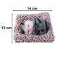 Decor Cat Open Eye Showpiece (1 Pc)