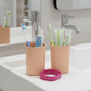 Plastic Hygienic Toothbrush Travel Portable Case (2 Pc)