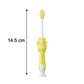 Kids Cartoon Design Toothbrush With Musical Whistle Set (2 Pc Set)