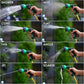Spray 
