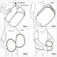 Foldable Laundry Basket Fabric Mesh Clothes Hamper Bag (1 Pc,33x33x54cm)