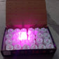 6632 Pink Flameless Led Tealights Smokeless Plastic Decorative Candles - Led Tea Light Candle For Home Decoration (Pack Of 24)
