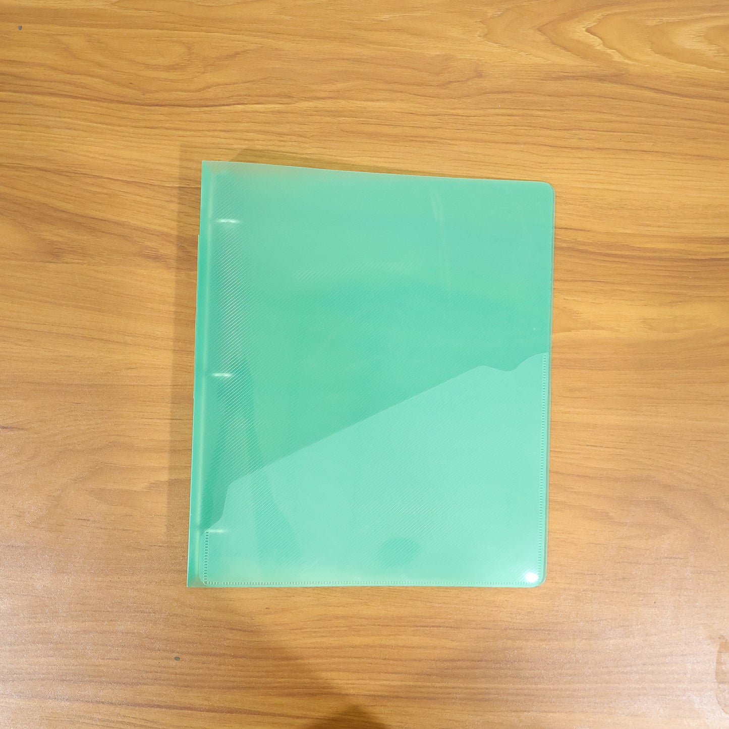 A4 Size Transparent Ring Binder File Folder 1 Pc (29.5 X 25.5 Cm)