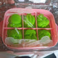 6-Cavity Silicone Ice Cream and Popsicle Mold Tray (1 Set)