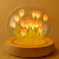 DIY Flower Dome LED Night Lamp Decorative Table Light Kit