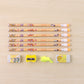 Complete Stationery Geometry Box (1 Set)