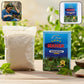 Natural Bhringraj Powder For Traditional Hair Care  80 Gm