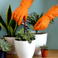 Large Orange Cleaning Rubber Gloves Reusable Kitchen Dishwashing (1 Pair)