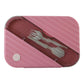 Plastic 3 Compartment Lunch Box For Kids