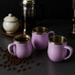 Insulated Stainless Steel Mug Set