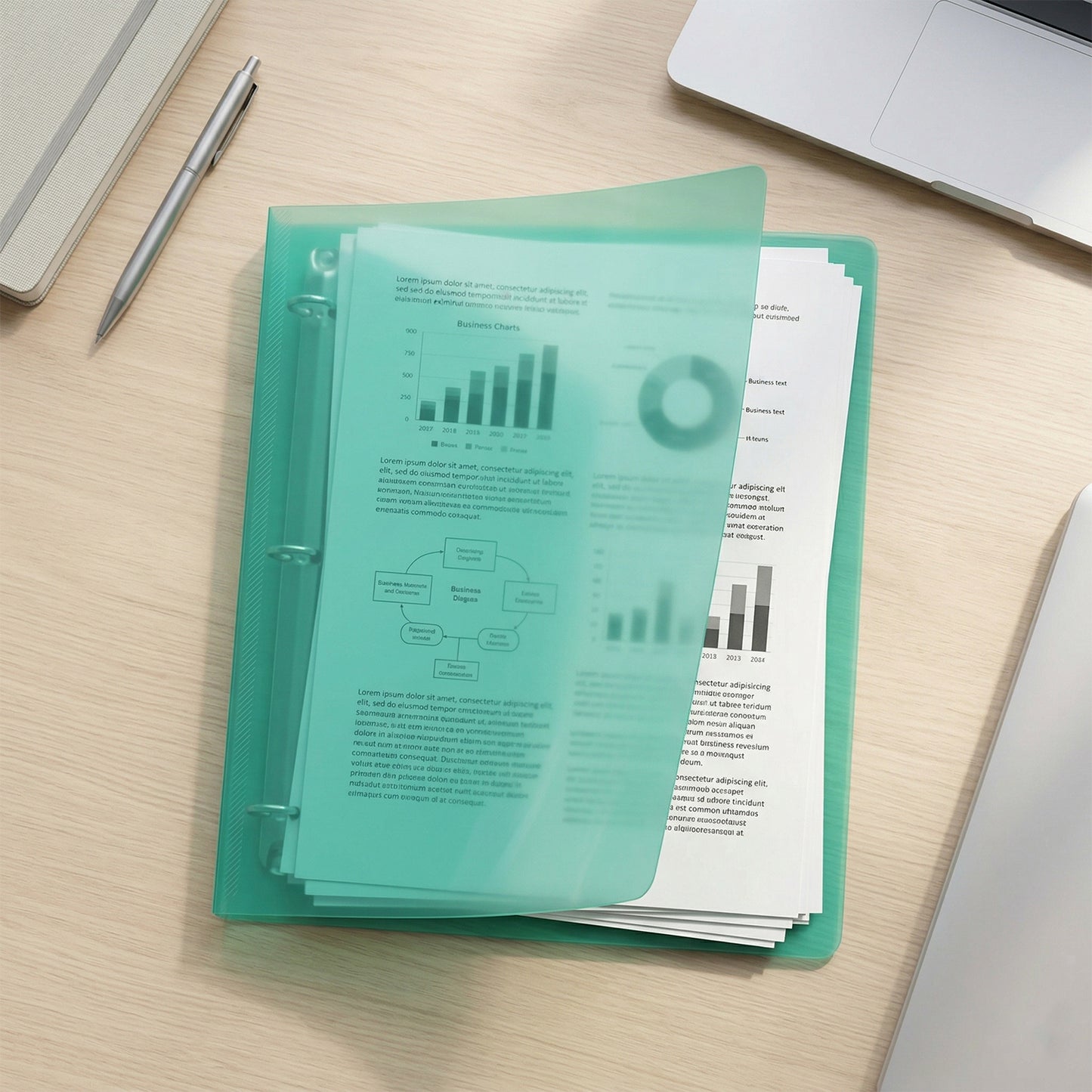 A4 Size Transparent Ring Binder File Folder 1 Pc (29.5 X 25.5 Cm)