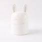 Adorable Bunny Multipurpose Kitchen Storage Box (1 Pc)