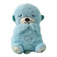 LED Light Musical Teddy Bear