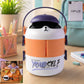 Cute Cartoon Double Layer Lunch Box (1 Pc)